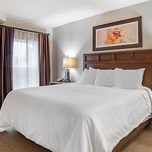 Two Bedroom Suite